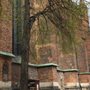 Photo of Bücherschrank Marktkirche