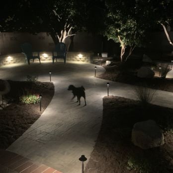 Root & Crown Landscape - a dog standing in the middle of a garden at night - Landscaping Near Me Root & Crown Landscape - a dog standing in the middle of a garden at night - Landscaping Near Me