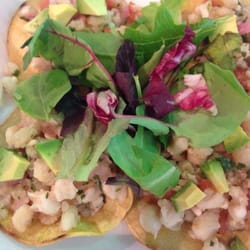 Green Owl Deli - Stellar tostadas!