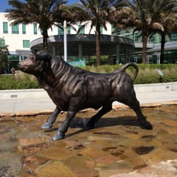 University of South Florida - Bull statue in front of the student union