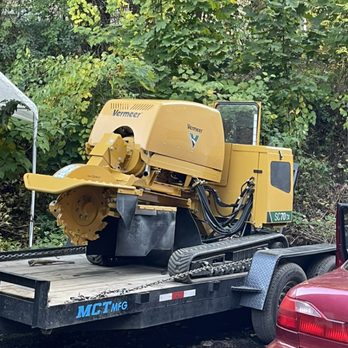Palmer Tree Service - was new - Tree Services Near Me - Framingham, Massachusetts