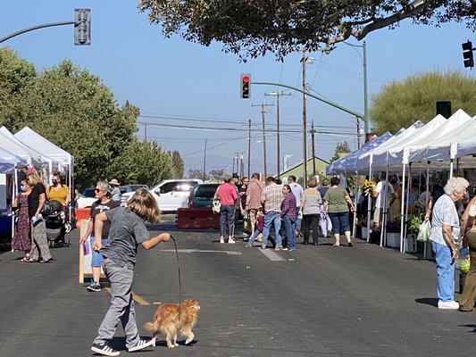 Santa Paula Certified Farmers Market by null
