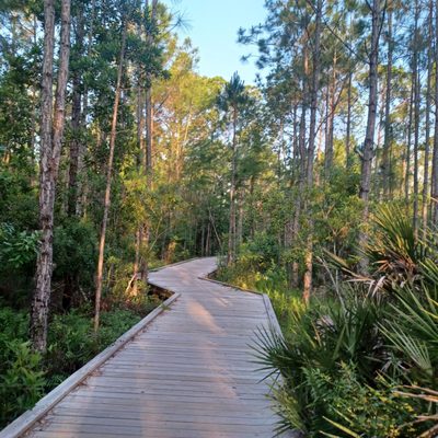 Laureate Park by null