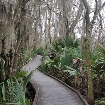 Lafitte Barataria Preserve - beautiful scenery - Parks Near Me - New Orleans, Louisiana Lafitte Barataria Preserve - beautiful scenery - Parks Near Me - New Orleans, Louisiana