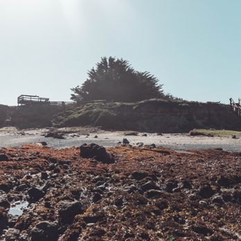 MacKerricher State Park - Parks Near Me - Fort Bragg, California MacKerricher State Park - Parks Near Me - Fort Bragg, California