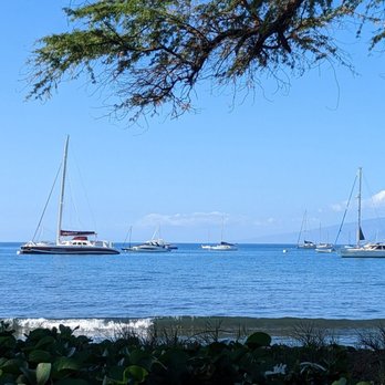 Star Noodle - View at lunch - Asian Fusion Near Me - Lahaina, Hawaii Star Noodle - View at lunch - Asian Fusion Near Me - Lahaina, Hawaii