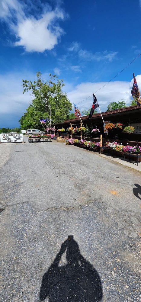 Layne's Grocery Logo