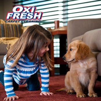 Oxi Fresh Carpet Cleaning - Carpet Cleaning Near Me Oxi Fresh Carpet Cleaning - Carpet Cleaning Near Me
