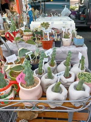 PCC Flea Market by null