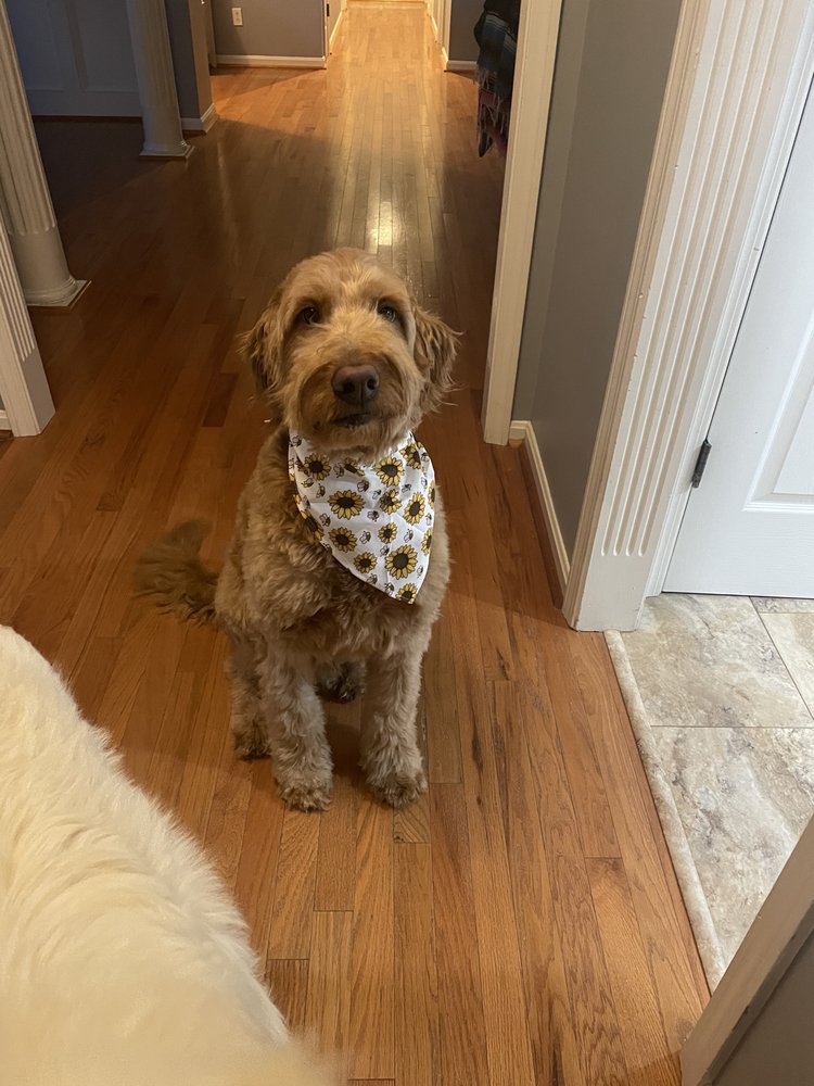 FURRY LAND LOUISVILLE Updated September 2024 145 Crabapple Ln