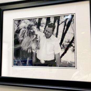 Glen A Fung, DDS - Kitty - General Dentistry Near Me - Newbury Park, California