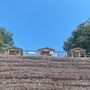 Photo of Harris Branch Beach & Campground