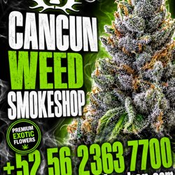 High Times Smoke Shop - Exotic was really imported and i found them on this number. took them about 45 minutes to deliver. wow