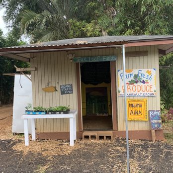 Moloa'a Beach - 10/18/22 near Moloa'a, farm fresh Honor system stand - Beaches Near Me - Kilauea, Hawaii