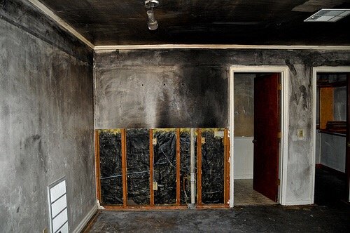 SFV Restoration Services - mold inspector in Sherman Oaks, CA