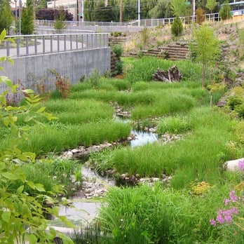 Thornton Creek Park - Parks Near Me - Seattle, Washington Thornton Creek Park - Parks Near Me - Seattle, Washington