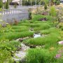 Photo of Thornton Creek Park