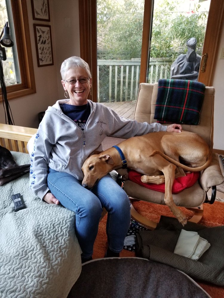 Bed n' Barkfast - pet boarding facility in Tacoma, WA