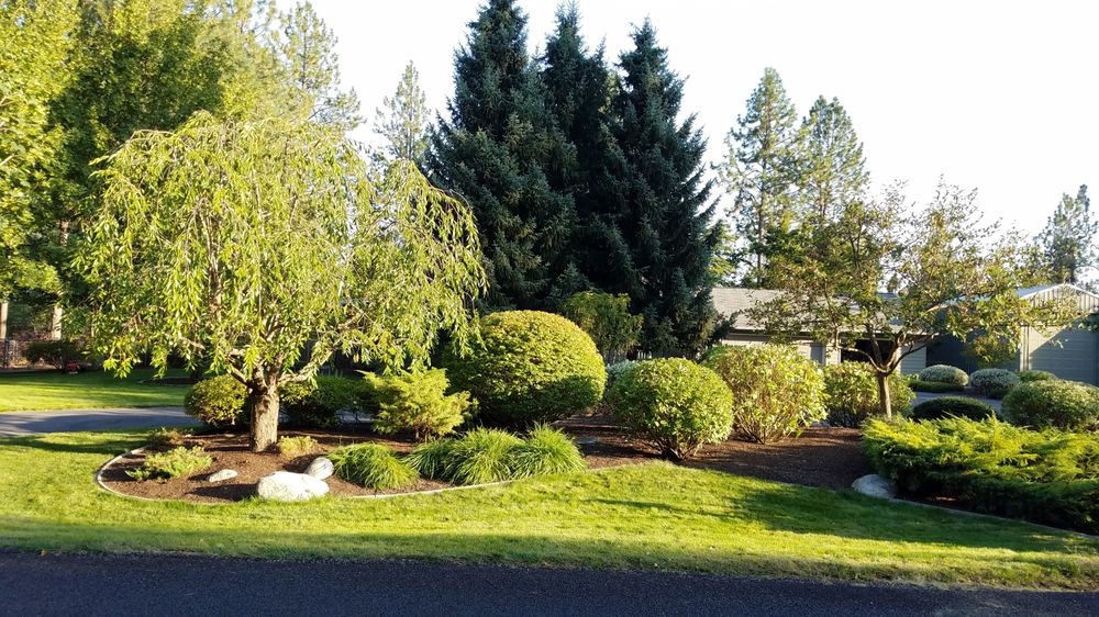 Beauty Tree And Shrub Service - tree service in Orlando, FL