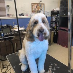 Pert 'N' Pretty Dog And Cat Grooming