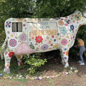 USF Botanical Gardens - Flower power cow. - Botanical Gardens Near Me - Tampa, Florida