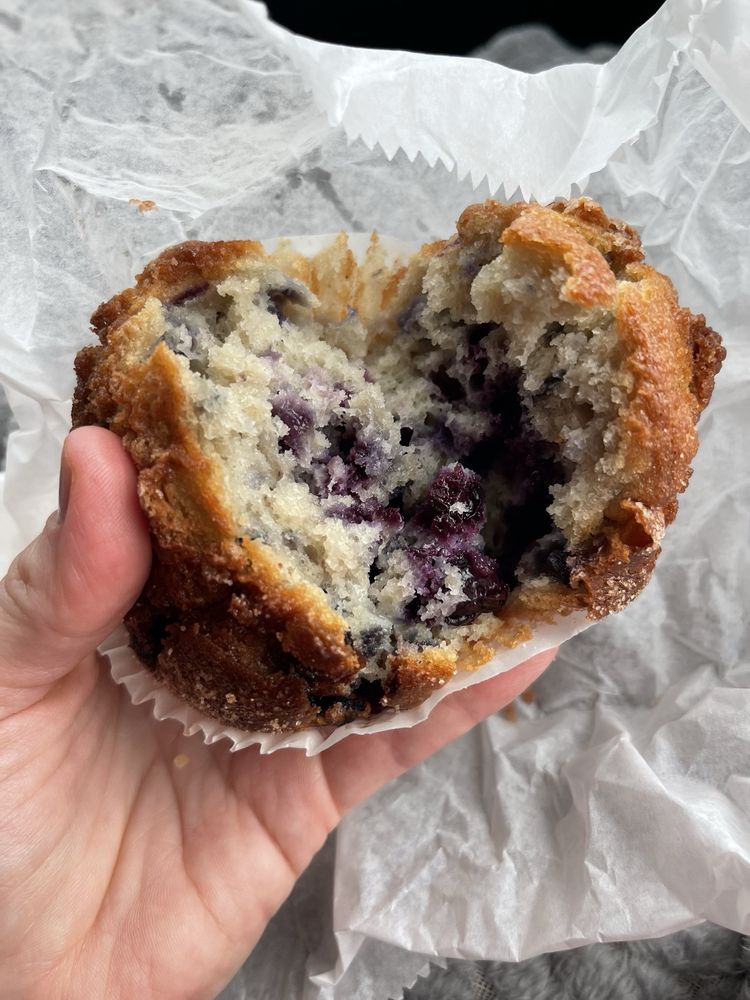 Tudor's Biscuit World