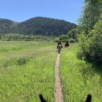 High Country Trails - Horseback Riding Near Me - Granby, Colorado High Country Trails - Horseback Riding Near Me - Granby, Colorado