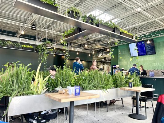 Wandering Leaf Brewing Company by null