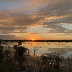Sugarloaf Key RV Resort & Cottages - Sunset from behind our spot.