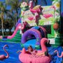 Photo of Lets Jump Events