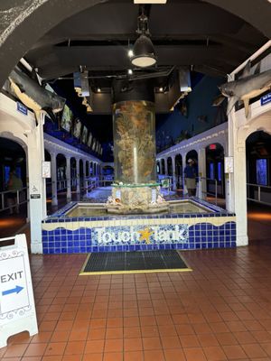 Key West Aquarium by null