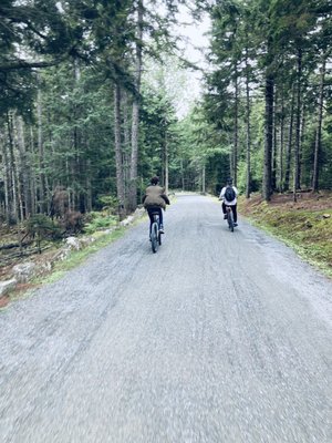 Bar Harbor Bicycle Shop by null