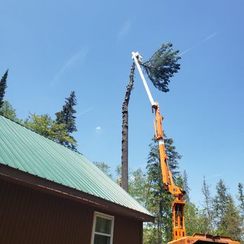 Keinonen Tree Service - Tree Services Near Me - Newberry, Michigan Keinonen Tree Service - Tree Services Near Me - Newberry, Michigan