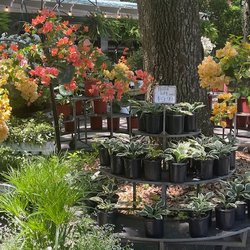 Hazel's Market - Love the plant selection and colors of blooms.