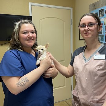 VCA A Plus Animal Hospital - A fantastic and loving thank you to Enedina and Juliaand Jenny not in this photo, for loving and helping Aki get his shot. - Veterinarians Near Me - Reno, Nevada VCA A Plus Animal Hospital - A fantastic and loving thank you to Enedina and Juliaand Jenny not in this photo, for loving and helping Aki get his shot. - Veterinarians Near Me - Reno, Nevada
