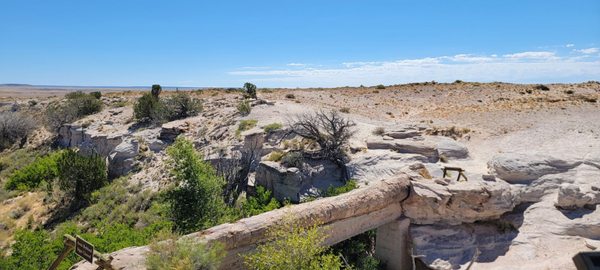 Petrified Forest National Wilderness Area by null