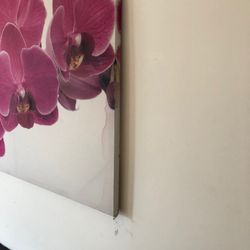 Andrew Chell Premier Student Homes - This is what Andrew Chell advertising for 76 Derby Road in Loughborough in that URL https://www.andrewchell.com/loughborough-student-houses/