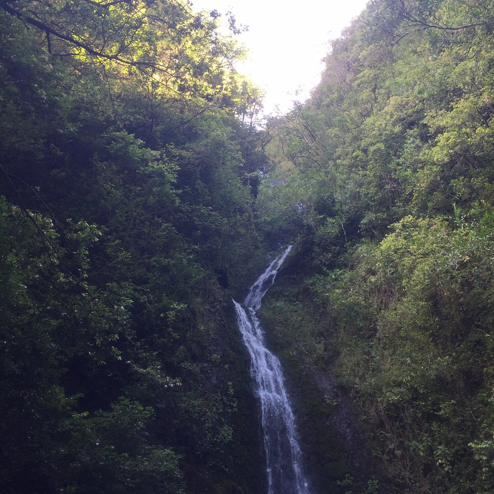 Lulumahu Falls - Hiking Near Me - Honolulu, Hawaii Lulumahu Falls - Hiking Near Me - Honolulu, Hawaii