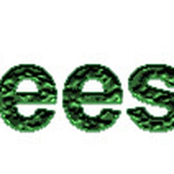 Trees- R-US Tree Service