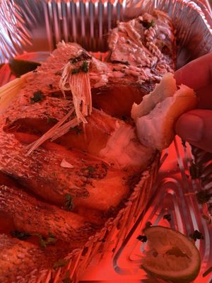 Fresh Florida Fisheries by null