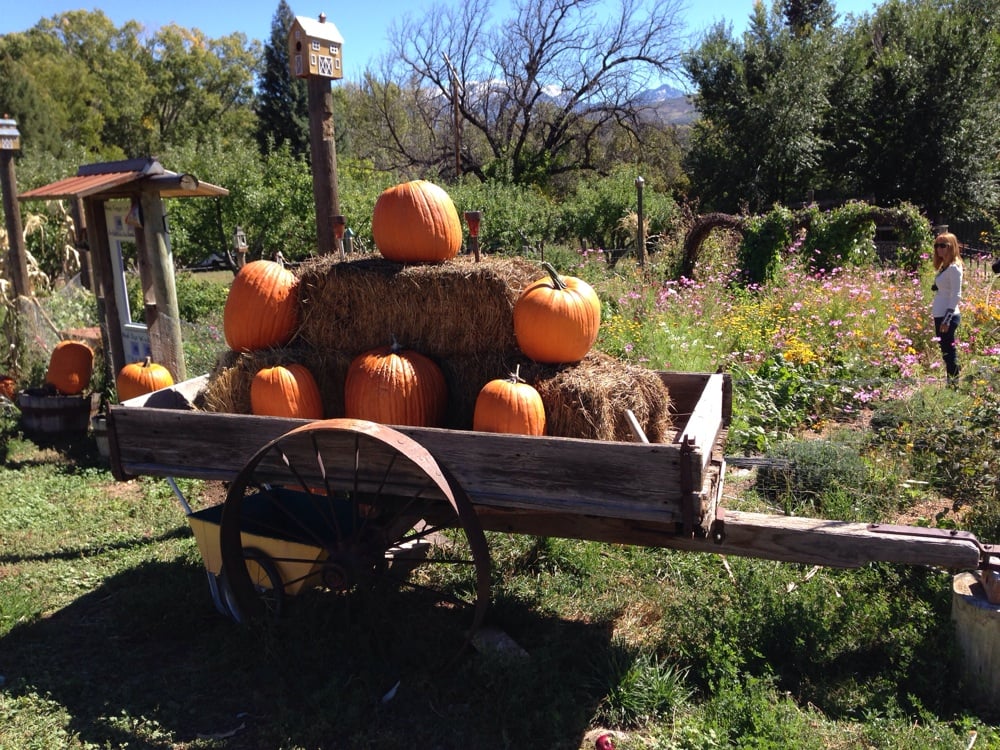 CAMELOT FARMS 15907 Black Bridge Rd, Paonia, Colorado Farmers Market Yelp