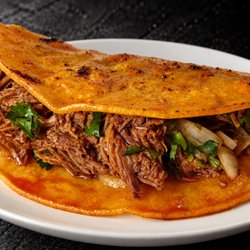 Fuego Cravings - Close up of 6" corn tortilla filled with tender birria, fresh onion, and cilantro.