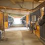 Photo of White Pole Stables