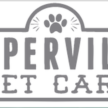 Naperville Pet Care - Pet Sitting Near Me Naperville Pet Care - Pet Sitting Near Me