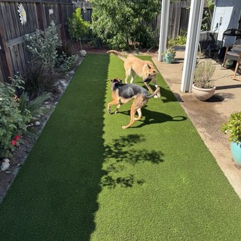 Smartscape Turf Innovations - Artificial Turf Near Me Smartscape Turf Innovations - Artificial Turf Near Me