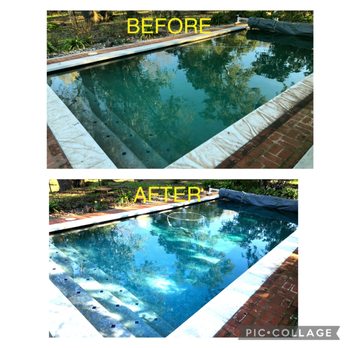 Shimmer Pool and Spa Service - Algae treatment - Pool Cleaners Near Me - Napa, California Shimmer Pool and Spa Service - Algae treatment - Pool Cleaners Near Me - Napa, California