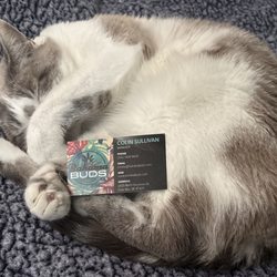 Bahama Buds - Petunia loves BAHAMA Buds