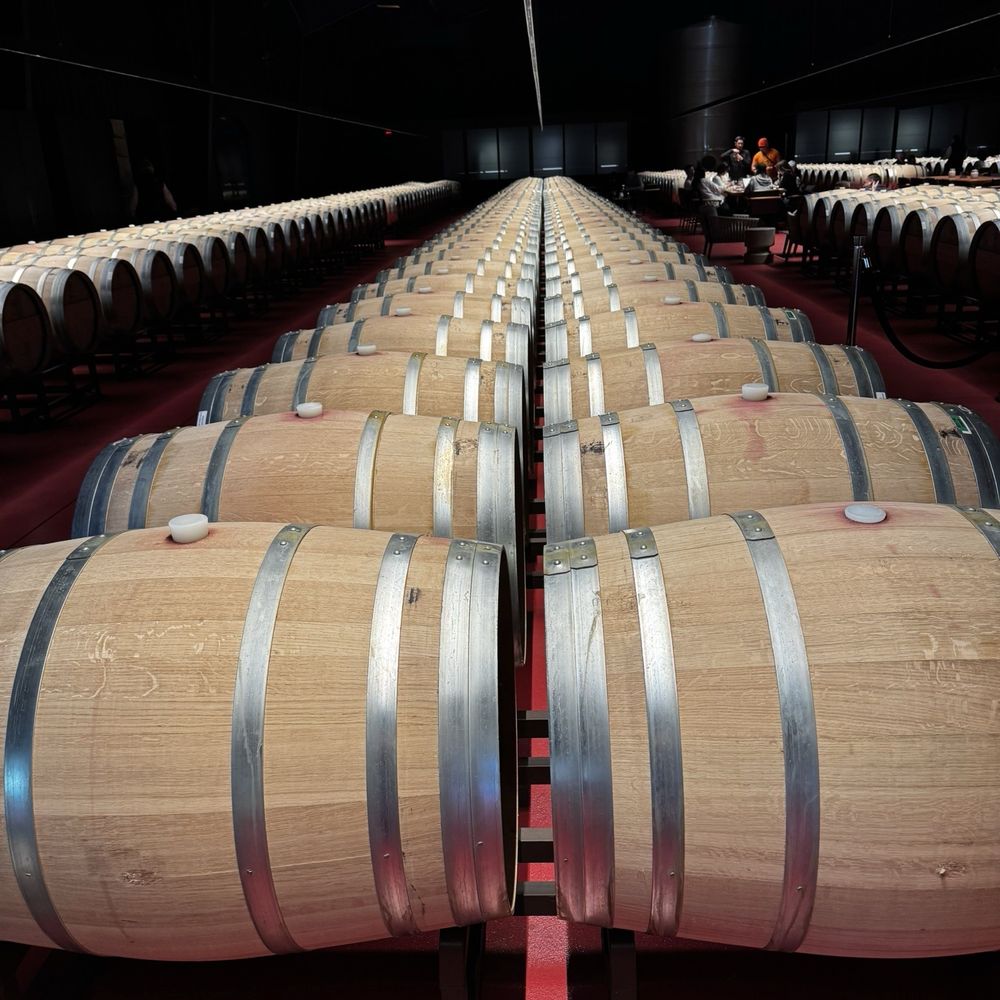 Caymus Vineyards - Barrel room. Huge - Wineries Near Me - Rutherford, California