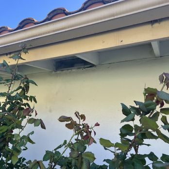 MJC Live Bee removal - Fixed screen - Pest Control Near Me MJC Live Bee removal - Fixed screen - Pest Control Near Me