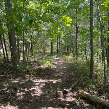 Three Springs Campground - Walking the trails! - Campgrounds Near Me - Corinth, Kentucky Three Springs Campground - Walking the trails! - Campgrounds Near Me - Corinth, Kentucky